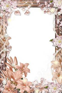Collection of PNG frames - symbol of the flower Collection of PNG frames - symbol of the flower