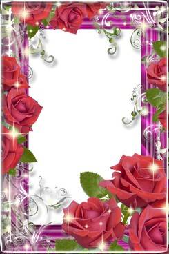 Collection of PNG frames - symbol of the flower Collection of PNG frames - symbol of the flower