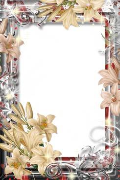 Collection of PNG frames - symbol of the flower Collection of PNG frames - symbol of the flower