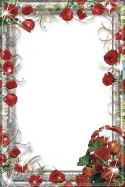 Collection of PNG frames - symbol of the flower Collection of PNG frames - symbol of the flower
