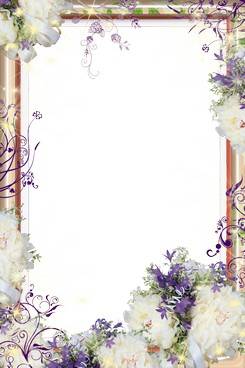 Collection of PNG frames - symbol of the flower Collection of PNG frames - symbol of the flower