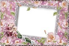 Collection of PNG frames - symbol of the flower Collection of PNG frames - symbol of the flower