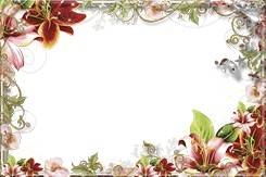 Collection of PNG frames - symbol of the flower Collection of PNG frames - symbol of the flower