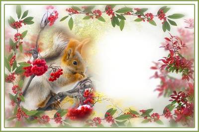 Collage frame for Photoshop - Squirrel in Rowan Collage frame for Photoshop - Squirrel in Rowan