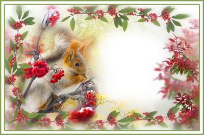 Collage frame for Photoshop - Squirrel in Rowan