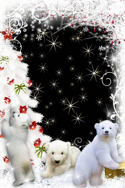 Animal photo frame free download - White bears