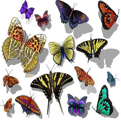 PNG Clipart for Photoshop - Butterfly 133 PNG files