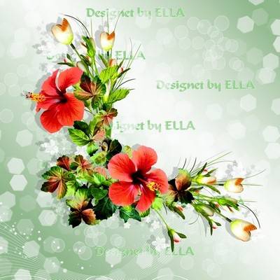 PSD, 7 PNG, Floral corners for greeting cards, collages, frames in Photoshop