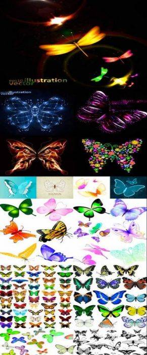 Beautiful vector butterflies 40 AI, EPS