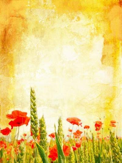 Wildflowers, vintage backgrounds for Photoshop