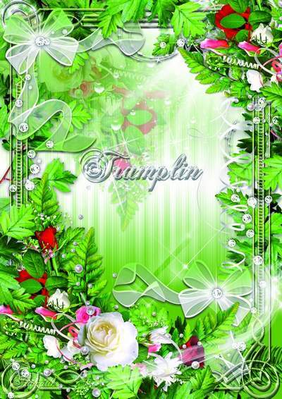Frame with roses - Petals - its beauty Frame with roses - Petals - its beauty