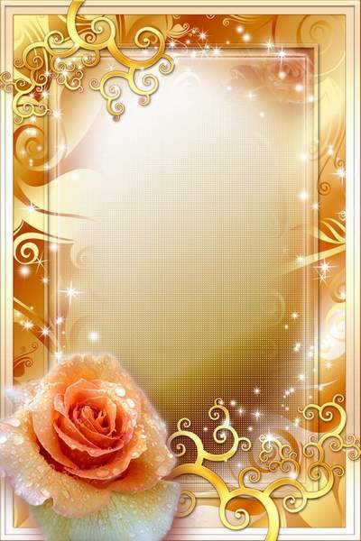 Flowery Frame - Orange Rose in Golden Blinking Flowery Frame - Orange Rose in Golden Blinking