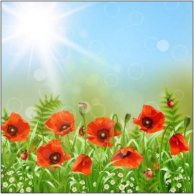Multi-layered PSD background - Flowers poppies Multi-layered PSD background - Flowers poppies