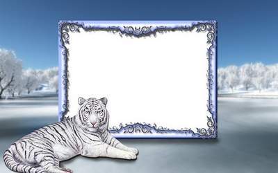 Photoshop frame psd file  - Winter and the white tiger