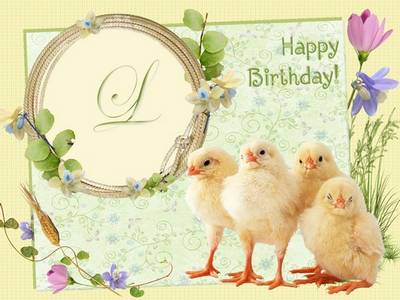 Photoframe – Happy Birthday, Chicken! Photoframe – Happy Birthday, Chicken!