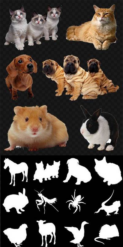 Animals Clipart PNG images - 119 PNG Animal + 50 ALPHA, transparent background,  ~ 3156x3156 px, File Size 605,19 MB