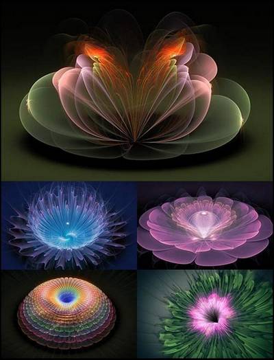 Clip art PNG images Fractal flowers - 12 PNG images magic fractal