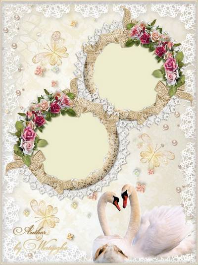 Wedding frame for Photoshop - Swans, roses, butterflies, lace