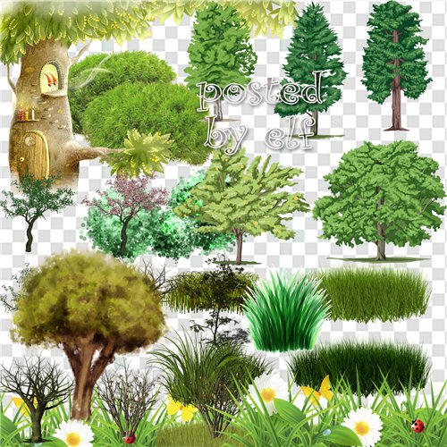 Clipart Png images – 24 png Grass , trees and shrubs, transparent background