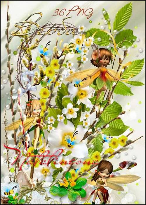 Twigs of willow with flowers - 36 PNG images, transparent background