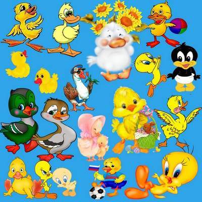 Cartoon Clipart PSD Ducks on a transparent background free download