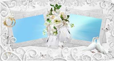Photo album wedding - Let domestic life as a diamond will begin to sparkle Photo album wedding - Let domestic life as a diamond will begin to sparkle