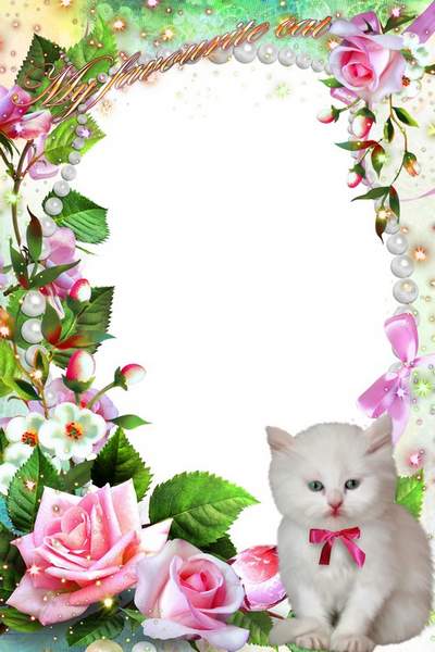 Photo Frame free download - My favorite kitten