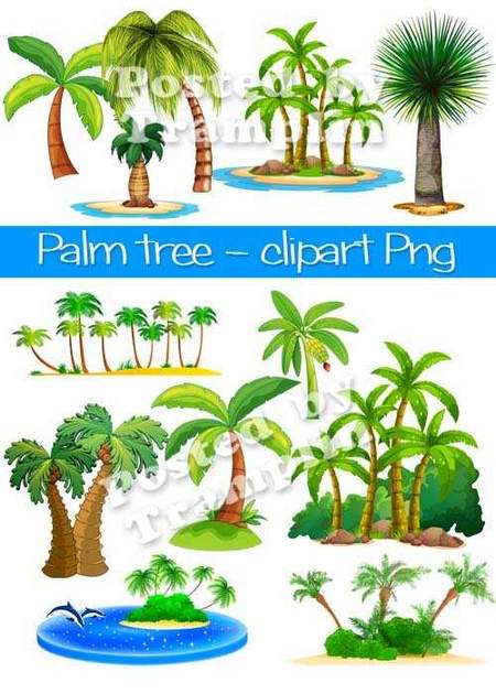 Palm trees clipart png - UPDATED 61 png images