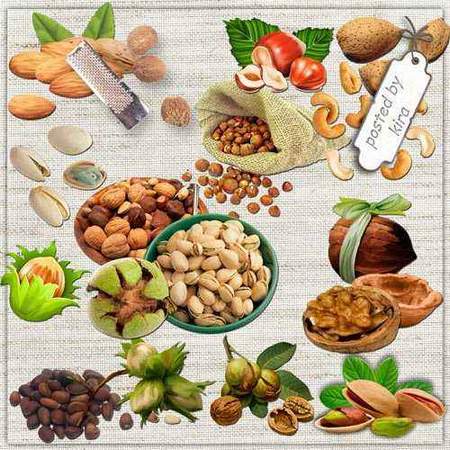 Nuts clipart download