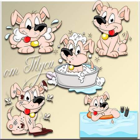 Funny puppy psd Funny puppy psd