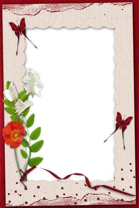 Delicate frame for lovers with ribbons and pink flowers