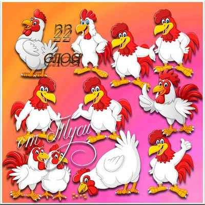 PSD, 22 PNG, White Rooster, graphic with transparent background