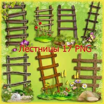 Garden Stairs Clipart png download - free 17 png images
