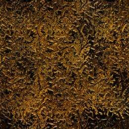 Textures Vari Varicoloured textures set - 2 ( free Varicoloured textures, free download )