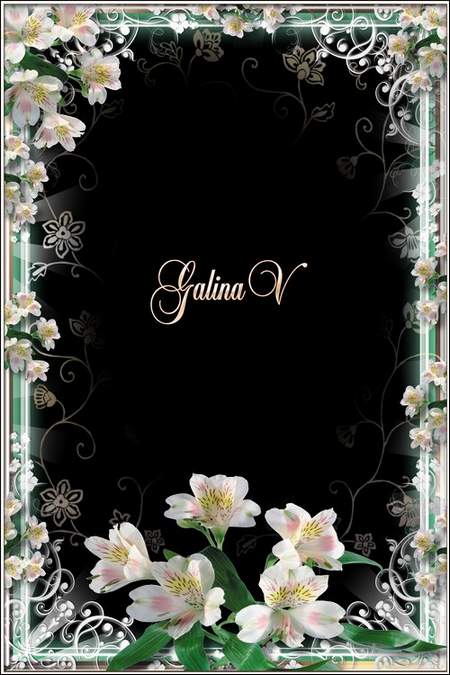Flower Frame for Photoshop - Purity of White Lilies ( free photo frame