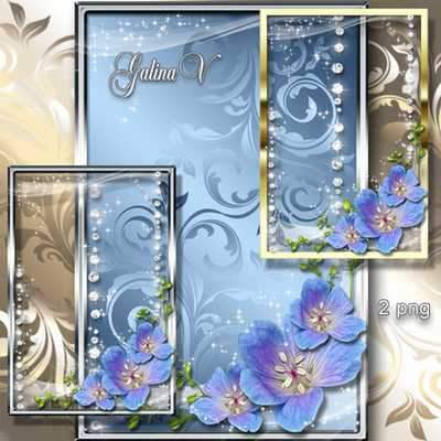 Tender flowers, two PNG frames with transparent background