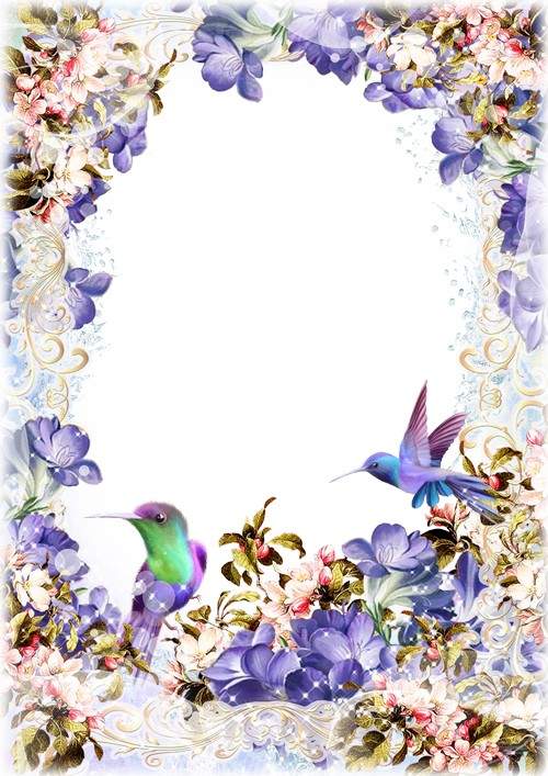 Fl Photo Frame Psd With Beautiful Birds Free