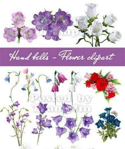 Bells flowers png download - Floral clipart on transparent background (22 free png)