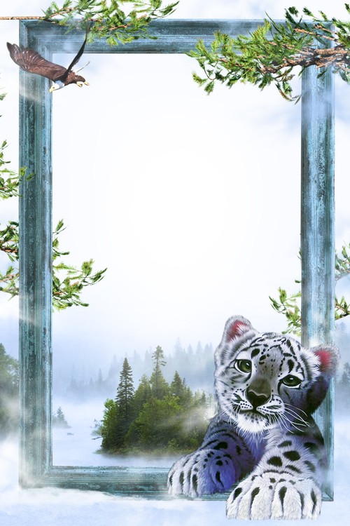 Photo Frame Snow Leopard Free Png Psd Photo Frame Snow Leopard