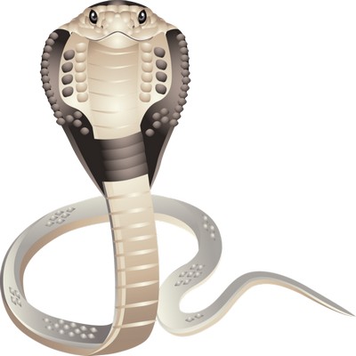Amusing snakes png images download