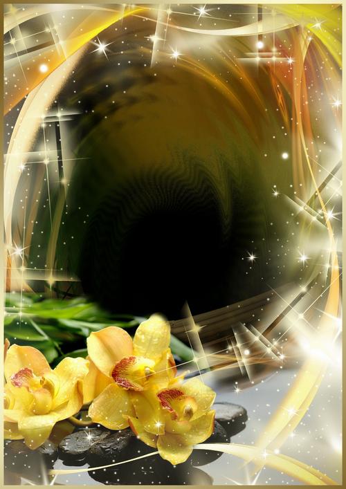 Flower frame bouquet of orchids ( photo frame psd png download )