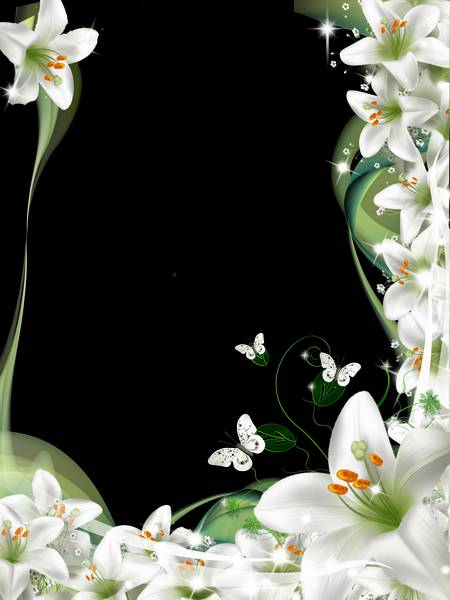 Beautiful frame for photo with lilys and butterfly