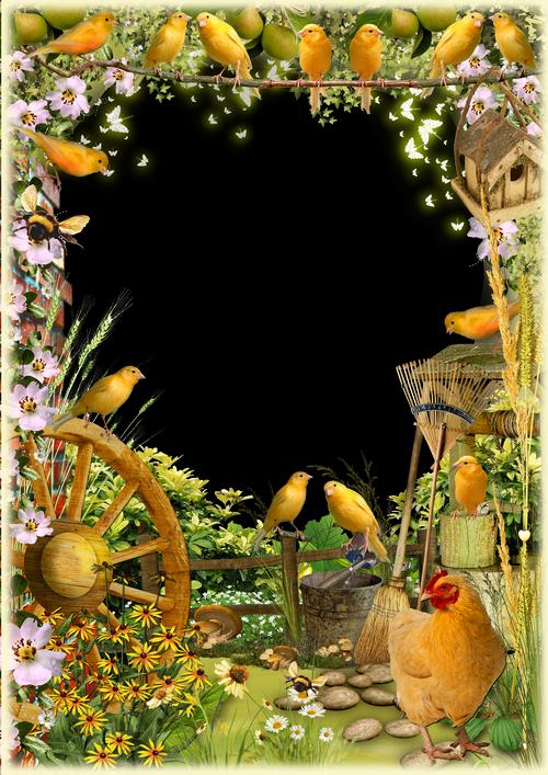 Frame Summer village garden ( psd, png, download )