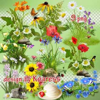 Updated: 27 PNG, Flower glades on transparent background. Flower compositions and elements of glades in PNG format