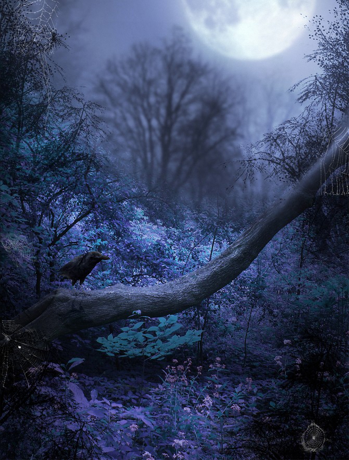 дверь в лесу. ночной пейзаж. ночной лес. ночной лес. огонек в ночном лесу.