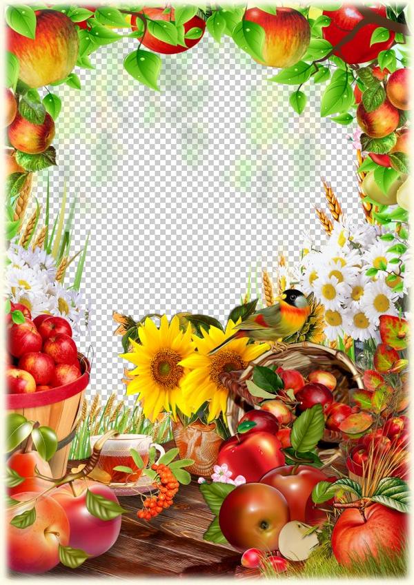 Summer photo frame apples harvest ( PSD, PNG, download )