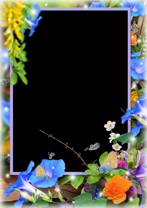 Vertical photo frame with colorful flowers and butterfly ( PSD layered