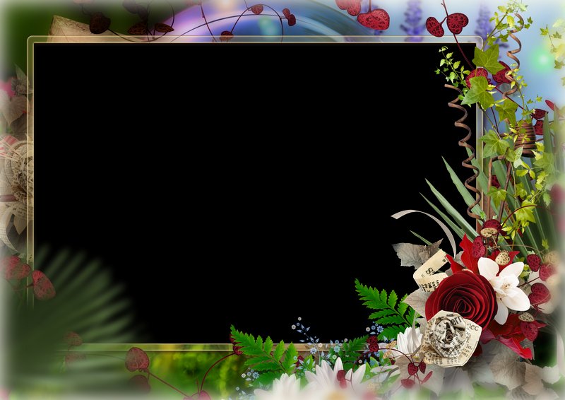 Flower photo frame PSD and PNG for horizontal photo, download
