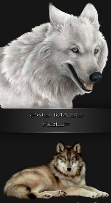 Wolf, clipart with transparent background, PNG