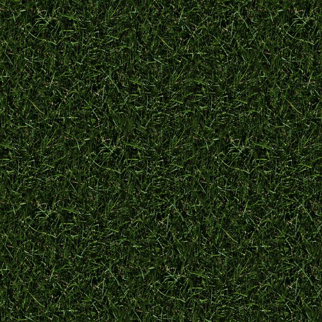 Grass Textures And Patterns Png Pat